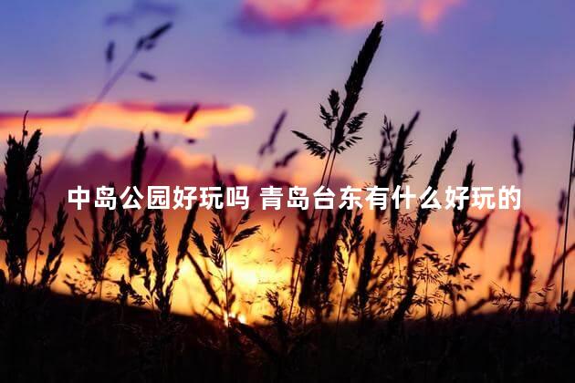 中岛公园好玩吗 青岛台东有什么好玩的地方